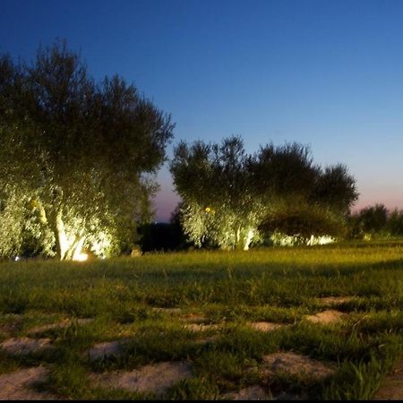 Bed and Breakfast Casa Degli Ulivi Черветері Екстер'єр фото