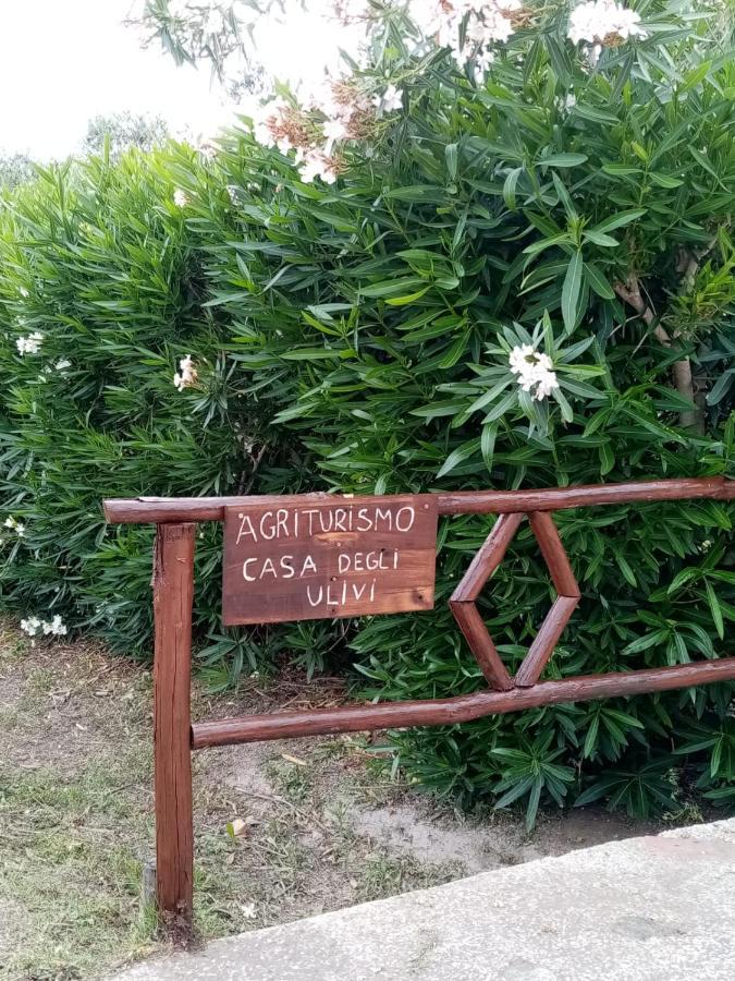Bed and Breakfast Casa Degli Ulivi Черветері Екстер'єр фото