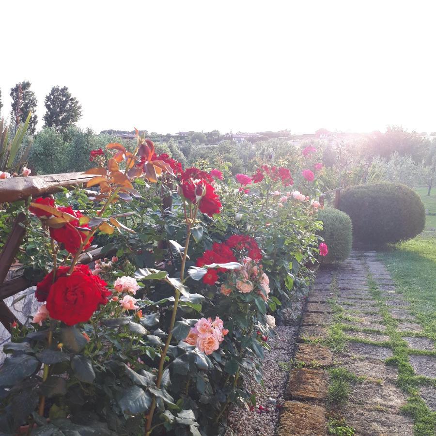 Bed and Breakfast Casa Degli Ulivi Черветері Екстер'єр фото