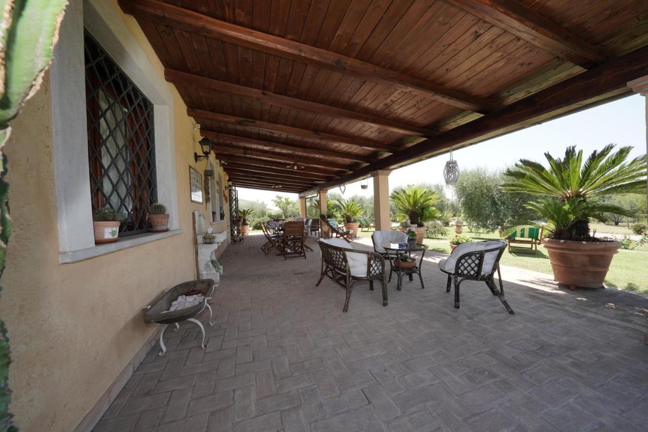 Bed and Breakfast Casa Degli Ulivi Черветері Екстер'єр фото